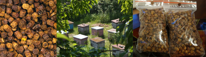 100% natürliches Bienenbrot | Ambrosia | Perga